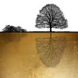  Tranh Canvas trừu tượng hiện đại - Tranh tối giản cây sắp đặt 