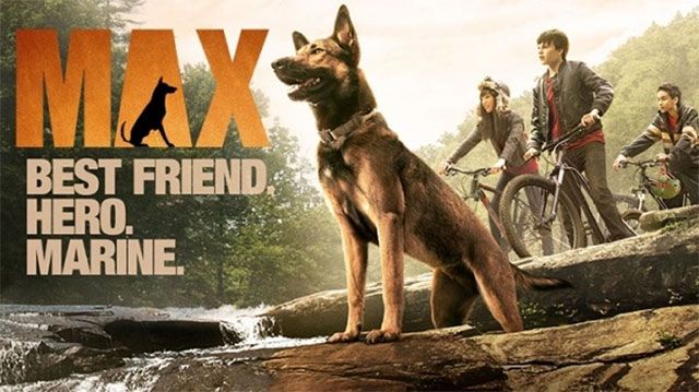 Chú chó Max Max (2015) – mobifirst
