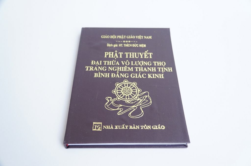 Sách phật giáo Phật thuyết Đại thừa vô lượng thọ Thích Đức Niệm bìa da nâu chữ to rõ 186 trang