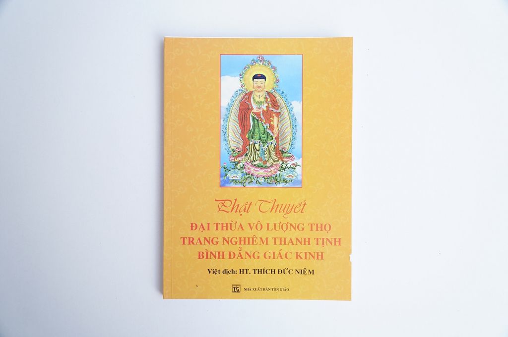 Sách phật giáo Phật thuyết Đại thừa vô lượng thọ Thích Đức Niệm bìa giấy cam chữ to rõ 186 trang