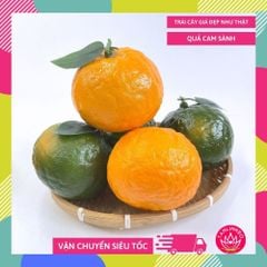 Quả Cam giả siêu thật, trái cây giả cao cấp loại xịn giống thật 99%