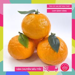 Trái Cam Sành giả, trái cây giả cao cấp loại xịn giống thật 99% -  Quả cam sành vàng