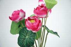 Bụi hoa sen giả bông sen hồng tươi đẹp tự nhiên trang trí bình hoa trưng bày, đặt bàn thờ - Dài 52cm