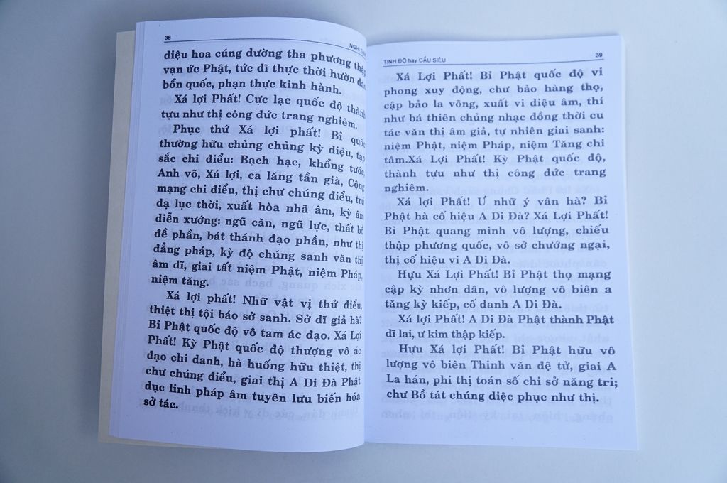 Kinh Phật - Kinh Nhật Tụng bìa giấy đỏ rồng - Thích Đăng Quang - Chữ to rõ 128 trang