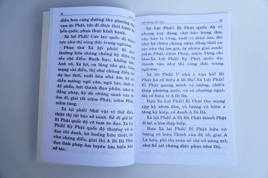 Sách Phật Giáo - Kinh Nhật Tụng bìa giấy đỏ rồng - Thích Đăng Quang - Chữ to rõ 128 trang