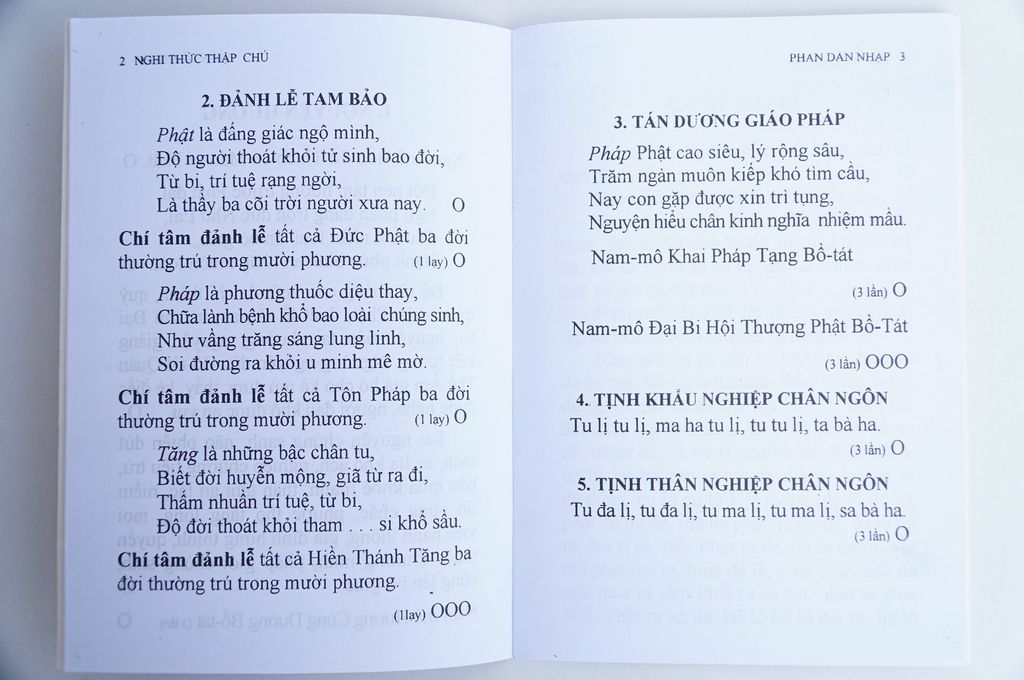 Sách Phật Giáo - Nghi Thức Đại Bi Thập Chú bìa giấy đỏ - Thích Nhật Từ - Chữ to rõ 28 trang