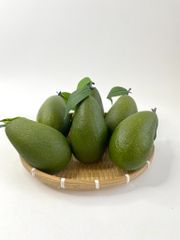 Trái Bơ giả trang trí xe sinh tố nước ép, mô hình trái cây giả cao cấp quả bơ xanh