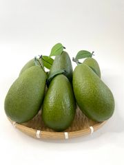 Trái Bơ giả trang trí xe sinh tố nước ép, mô hình trái cây giả cao cấp quả bơ xanh