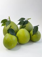 Trái Bưởi giả giống như thật, Mô hình trái cây giả quả Bưởi giả - Hoa quả giả cao cấp