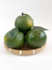 Trái Cam Sành giả siêu thật, trái cây giả cao cấp loại xịn giống thật 99% -  Quả cam sành xanh