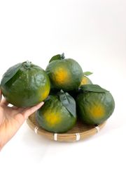 Trái Cam Sành giả siêu thật, trái cây giả cao cấp loại xịn giống thật 99% -  Quả cam sành xanh