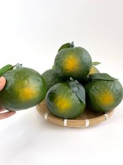 Trái Cam Sành giả siêu thật, trái cây giả cao cấp loại xịn giống thật 99% -  Quả cam sành xanh