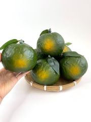 Trái Cam Sành giả siêu thật, trái cây giả cao cấp loại xịn giống thật 99% -  Quả cam sành xanh