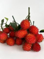 Chùm Chôm Chôm giả siêu giống thật, mô hình trái cây giả trang trí chùm chôm chôm