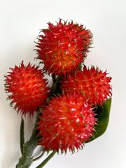 Chùm Chôm Chôm giả siêu giống thật, mô hình trái cây giả trang trí chùm chôm chôm
