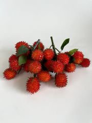 Chùm Chôm Chôm giả siêu giống thật, mô hình trái cây giả trang trí chùm chôm chôm