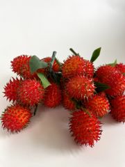 Chùm Chôm Chôm giả siêu giống thật, mô hình trái cây giả trang trí chùm chôm chôm