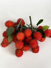 Chùm Chôm Chôm giả siêu giống thật, mô hình trái cây giả trang trí chùm chôm chôm