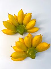 Nải chuối giả đẹp như thật, mô hình trái cây giả nải chuối cau - Loại xịn
