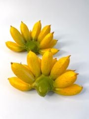 Nải chuối giả đẹp như thật, mô hình trái cây giả nải chuối cau - Loại xịn