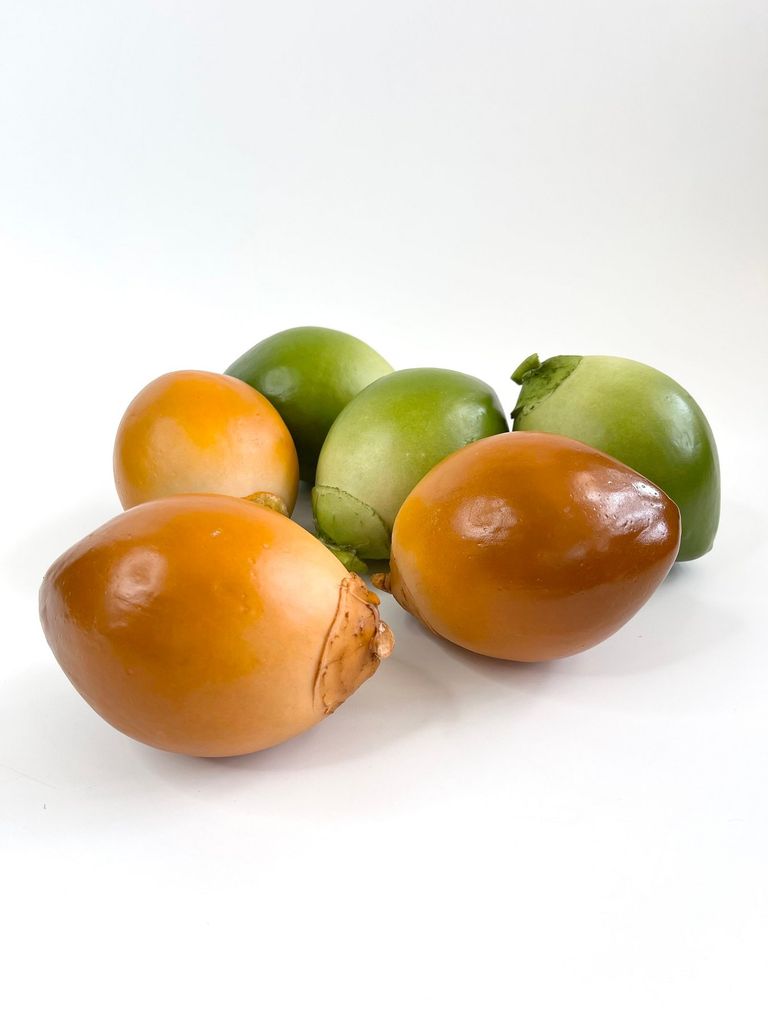 Trái Dừa xiêm giả giống thật như đúc, mô hình trái cây giả quả dừa xiêm nâu - Loại xịn