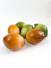 Trái Dừa xiêm giả giống thật như đúc, mô hình trái cây giả quả dừa xiêm nâu - Loại xịn