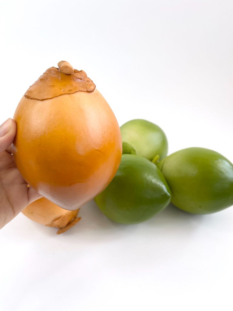 Trái Dừa xiêm giả giống thật như đúc, mô hình trái cây giả quả dừa xiêm nâu - Loại xịn