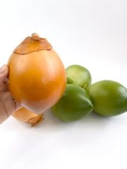 Trái Dừa xiêm giả giống thật như đúc, mô hình trái cây giả quả dừa xiêm nâu - Loại xịn