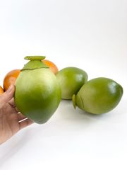Trái Dừa giả giống thật như đúc, mô hình trái cây giả quả dừa xanh - Loại xịn