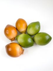 Trái Dừa giả giống thật như đúc, mô hình trái cây giả quả dừa xanh - Loại xịn