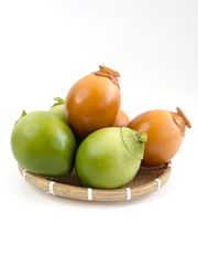 Trái Dừa giả giống thật như đúc, mô hình trái cây giả quả dừa xanh - Loại xịn