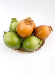 Trái Dừa xiêm giả giống thật như đúc, mô hình trái cây giả quả dừa xiêm nâu - Loại xịn