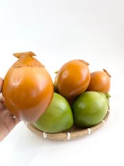 Trái Dừa xiêm giả giống thật như đúc, mô hình trái cây giả quả dừa xiêm nâu - Loại xịn