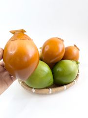 Trái Dừa xiêm giả giống thật như đúc, mô hình trái cây giả quả dừa xiêm nâu - Loại xịn