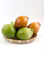 Trái Dừa giả giống thật như đúc, mô hình trái cây giả quả dừa xanh - Loại xịn