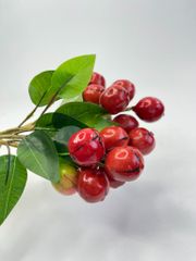 Chùm Sung giả, trái cây giả, mô hình trái cây trang trí - Trái cây giả cao cấp