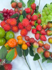 Chùm Sung giả, trái cây giả, mô hình trái cây trang trí - Trái cây giả cao cấp