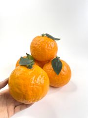Trái Cam Sành giả, trái cây giả cao cấp loại xịn giống thật 99% -  Quả cam sành vàng