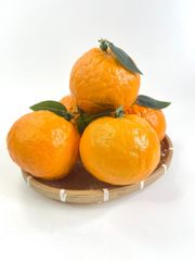 Quả Cam giả siêu thật, trái cây giả cao cấp loại xịn giống thật 99%