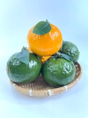 Quả Cam giả siêu thật, trái cây giả cao cấp loại xịn giống thật 99%