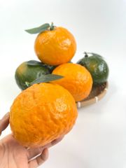 Quả Cam giả siêu thật, trái cây giả cao cấp loại xịn giống thật 99%