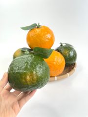 Quả Cam giả siêu thật, trái cây giả cao cấp loại xịn giống thật 99%