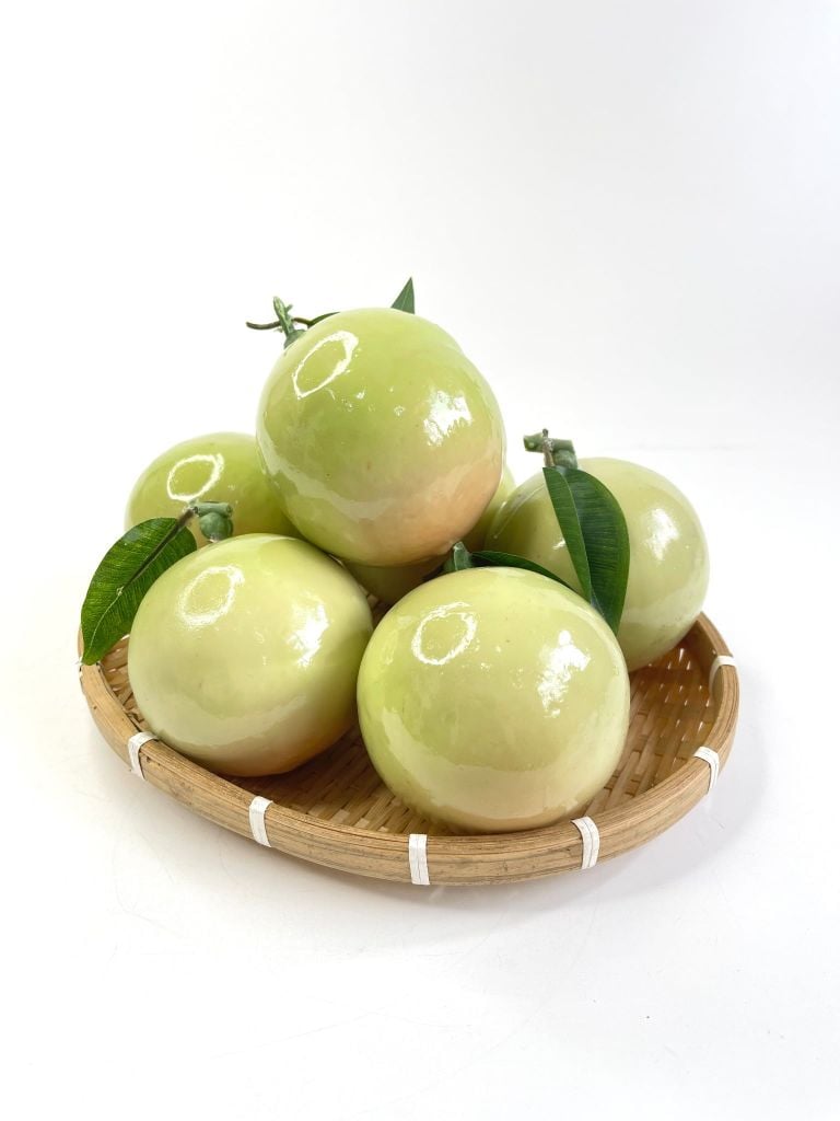 Trái vú sữa giả giống thật, trái cây giả cao cấp loại xịn y như đúc -  Quả vú sữa trắng