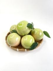 Trái vú sữa giả giống thật, trái cây giả cao cấp loại xịn y như đúc -  Quả vú sữa trắng