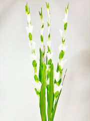 Hoa giả trang trí, cành hoa Lay ơn giả màu sắc tự nhiên cành dài 83cm, hoa cắm bàn thờ loại đẹp