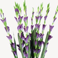 Hoa giả trang trí - Bó hoa Lay ơn giả, hoa dơn vải dài 83cm - Bó 10 nhánh