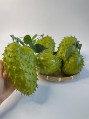 Trái mãng cầu gai giả giống thật như đúc, mô hình trái cây giả quả mãng cầu gai - Loại xịn