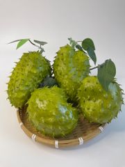 Trái mãng cầu gai giả giống thật như đúc, mô hình trái cây giả quả mãng cầu gai - Loại xịn
