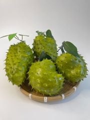 Trái mãng cầu gai giả giống thật như đúc, mô hình trái cây giả quả mãng cầu gai - Loại xịn