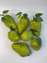Trái mãng cầu gai giả giống thật như đúc, mô hình trái cây giả quả mãng cầu gai - Loại xịn